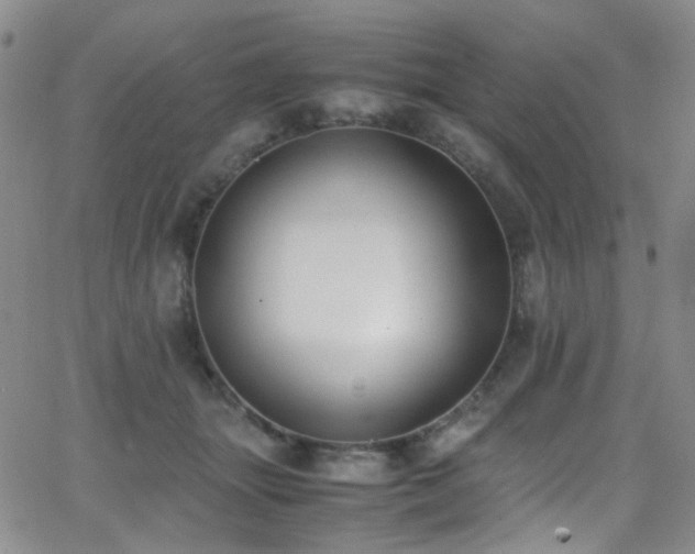 X0000062870463200601131446