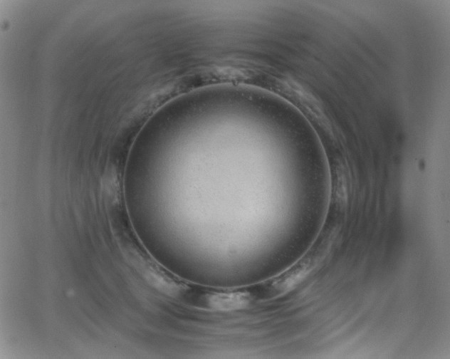 X0000062870465200601131446