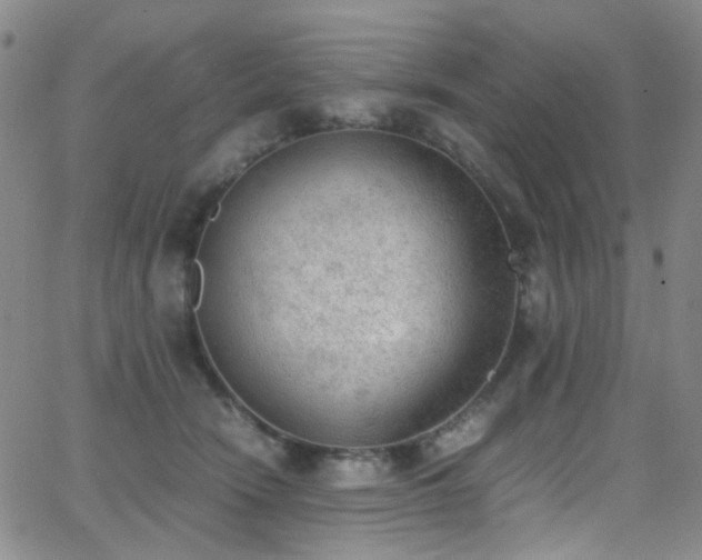 X0000062870466200601131446