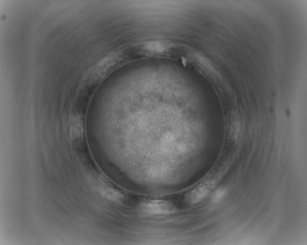 X0000062870467200601131446