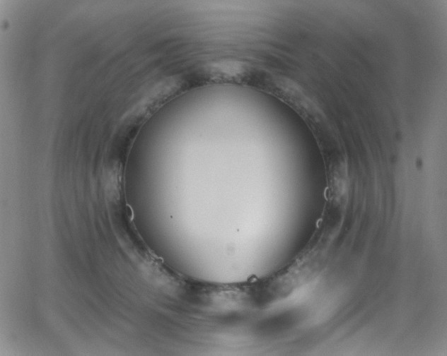 X0000062870468200601131446