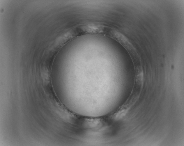 X0000062870469200601131446