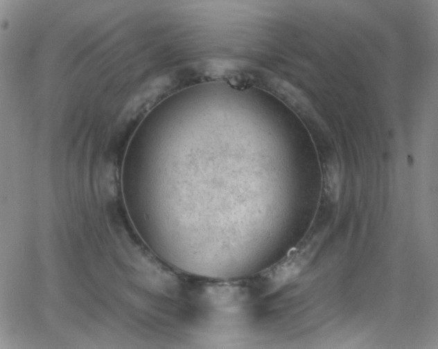 X0000062870470200601131446