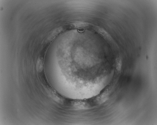 X0000062870471200601131446