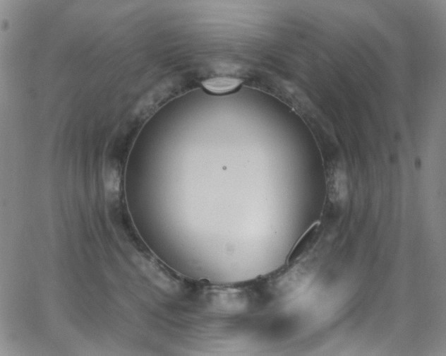 X0000062870472200601131446