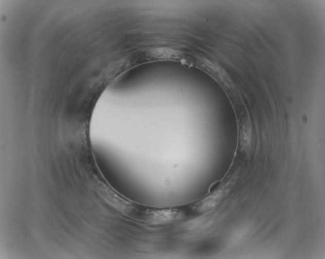 X0000062870473200601131446