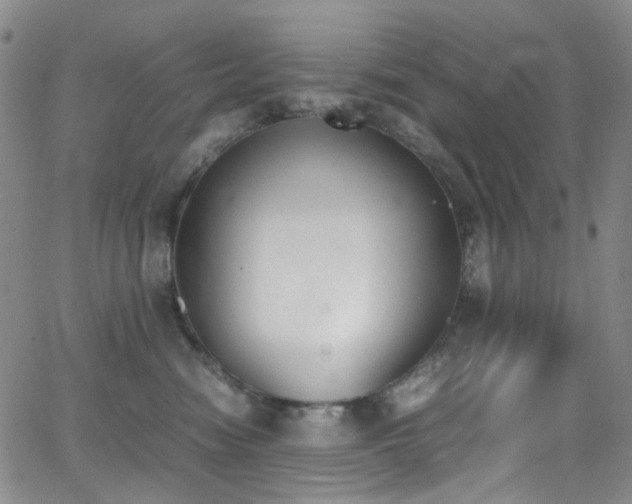 X0000062870474200601131446