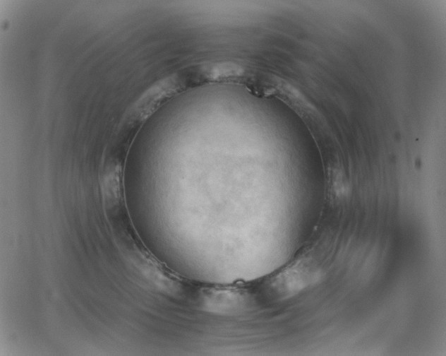 X0000062870475200601131446