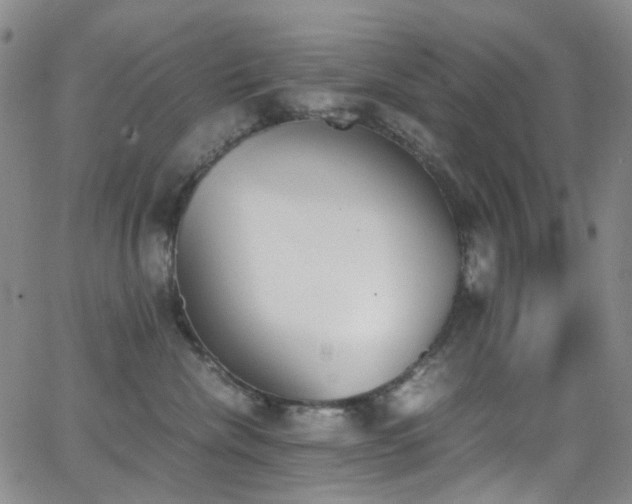 X0000062870476200601131446