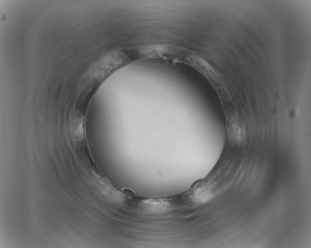 X0000062870477200601131446