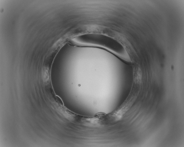 X0000062870478200601131446