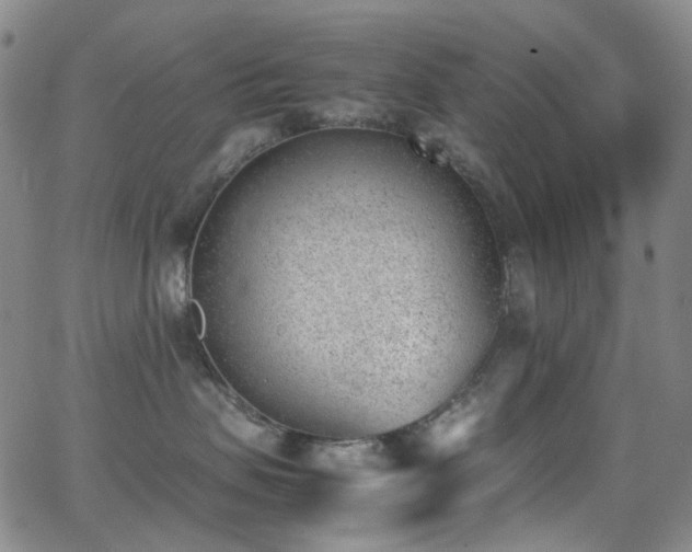 X0000062870479200601131446