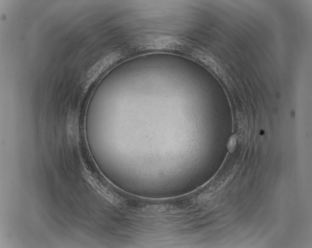 X0000062870482200601131445