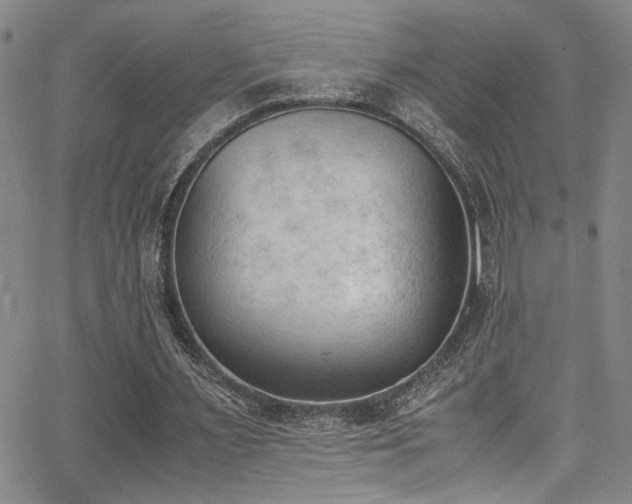 X0000062870483200601131445