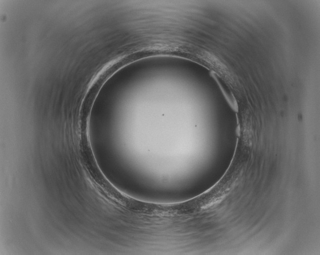 X0000062870484200601131445