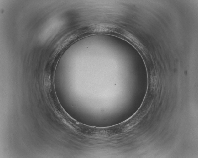 X0000062870485200601131445