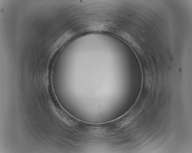 X0000062870486200601131445