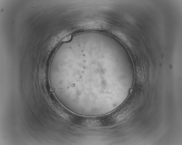 X0000062870487200601131445