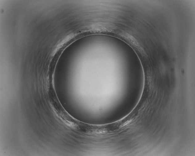 X0000062870488200601131445