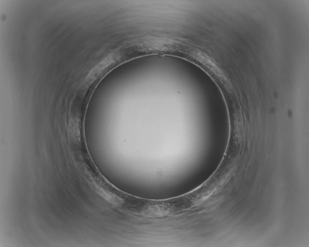 X0000062870489200601131445