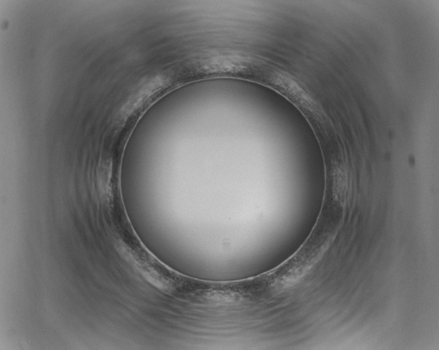 X0000062870490200601131445