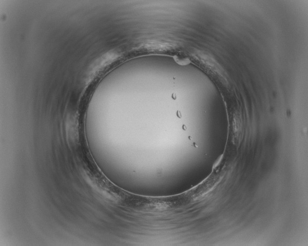 X0000062870492200601131445