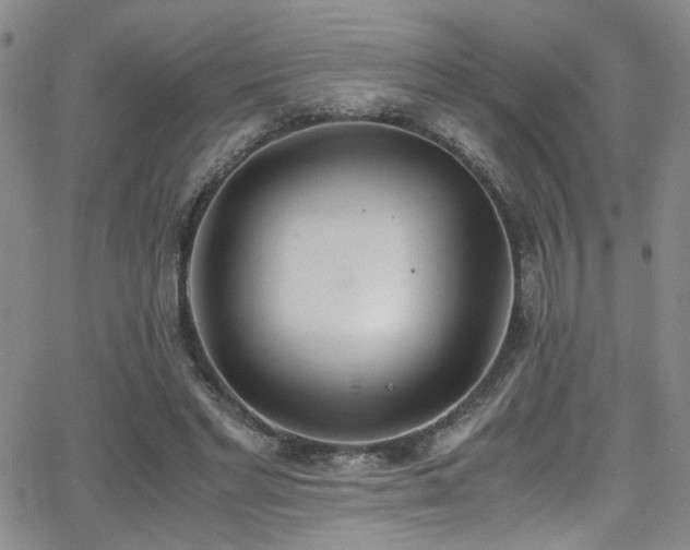 X0000062870493200601131445