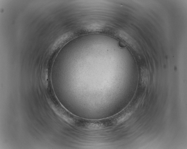 X0000062870494200601131445