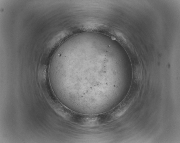 X0000062870495200601131445