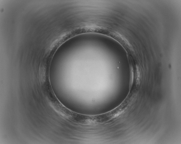 X0000062870496200601131445