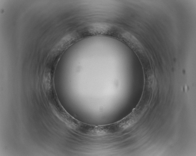 X0000062870498200601131445