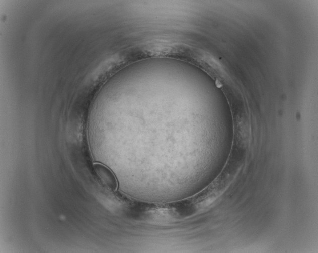 X0000062870499200601131445