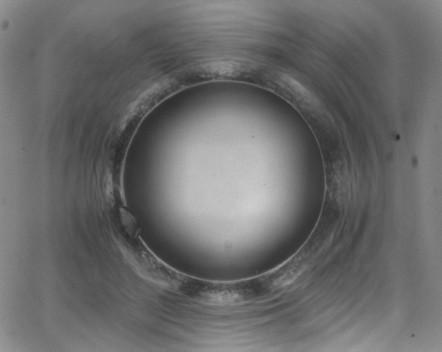 X0000062870500200601131445