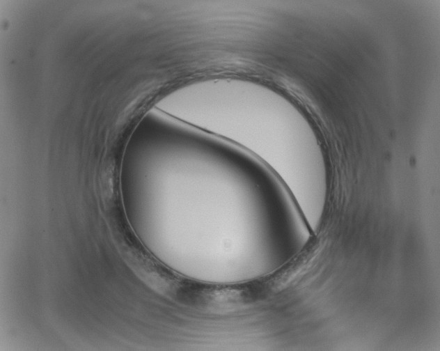 X0000062870501200601131445