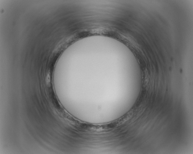 X0000062870502200601131445