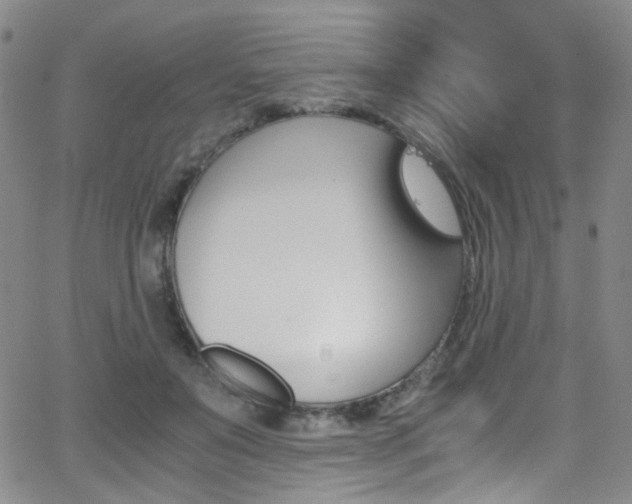 X0000062870503200601131445