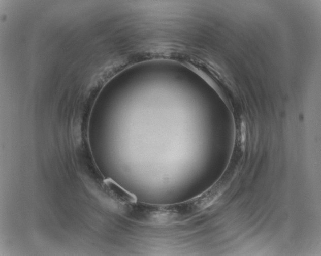 X0000062870504200601131445