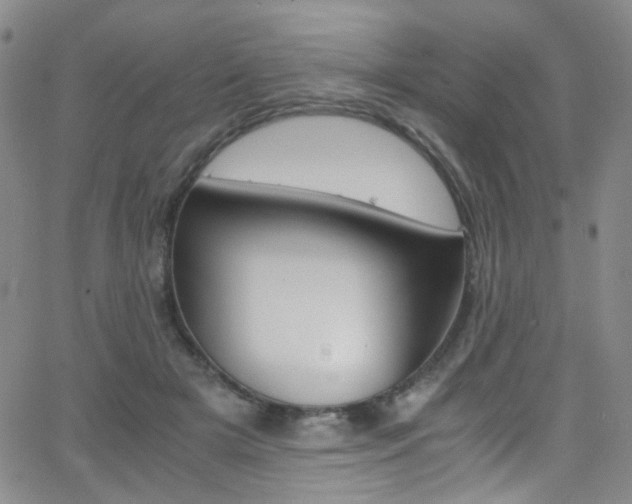 X0000062870505200601131445