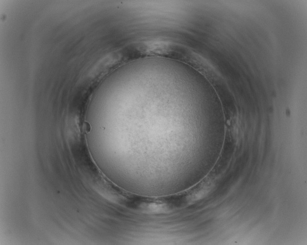 X0000062870506200601131445