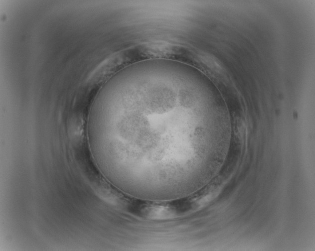 X0000062870507200601131445