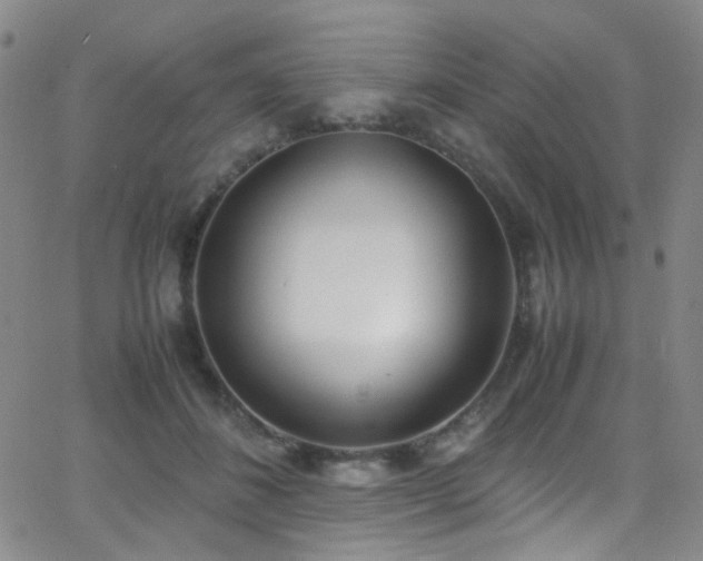 X0000062870508200601131445