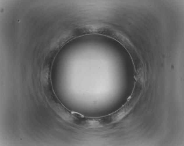 X0000062870509200601131445