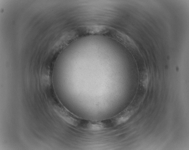 X0000062870510200601131445