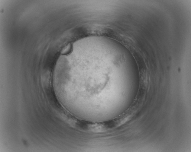 X0000062870511200601131445