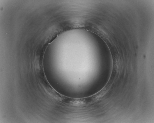 X0000062870512200601131445