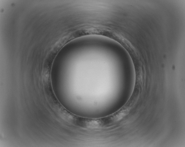 X0000062870513200601131445