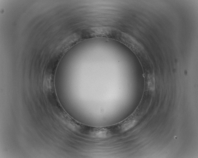 X0000062870514200601131445