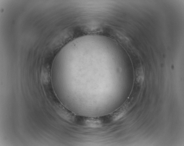 X0000062870515200601131445