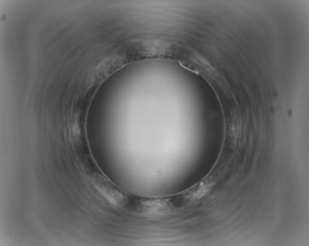 X0000062870516200601131445