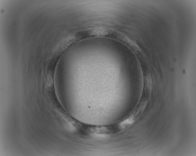 X0000062870517200601131445